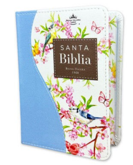 Biblia RVR60 025c CP PJR Renovación Turquesa Azul