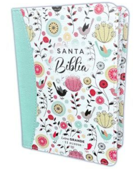 Biblia RVR60 045c cp LG PJR colección primaveral turquesa