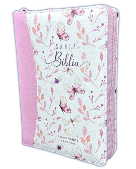 RVR60 045czti cp LGi PJR Mariposas rosa