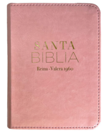 Biblia RVR60 025c PJR Clásica rosa