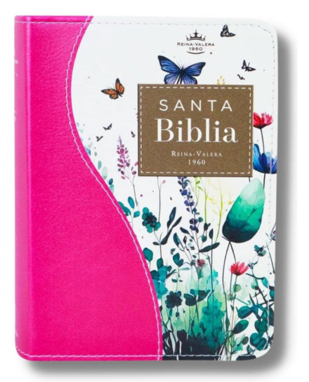 Biblia RVR60 025c CP PJR Renovación Turquesa Fucsia