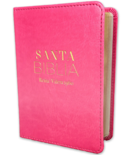 Biblia RVR60 025c PJR Clásica fúcsia