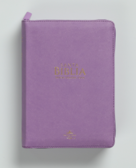 Biblia RVR60 045cz PJR. Lila