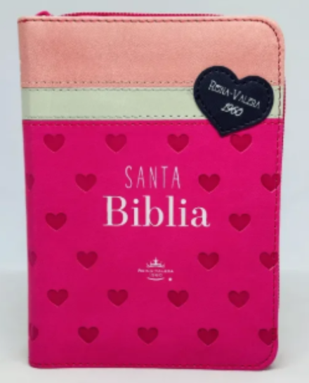 Biblia RVR60 025 cz PJR Primor Fucsia/Blanco/Rosa con corazones
