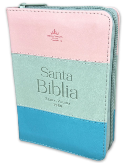 Biblia RVR60 025czt Tricolor Rosa/Gris/turquesa