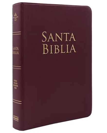 RVR 1960 Biblia letra grande tamano manual, vino vinilo