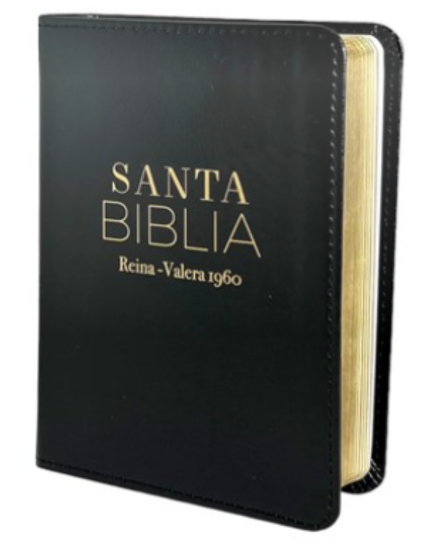 Biblia RVR60 025c PJR Clásica NEGRO
