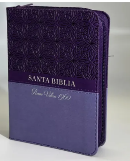 Biblia RVR60 025czti PJR Bifloral lila/lila