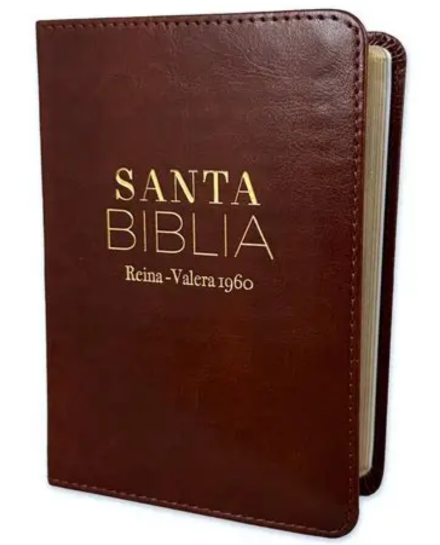 Biblia RVR60 025c PJR Clásica café